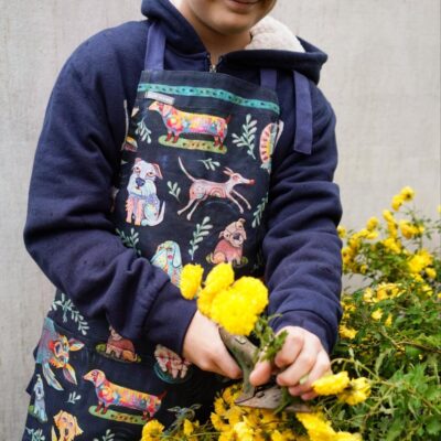 Kid Apron
