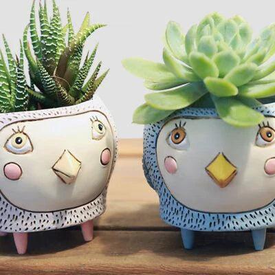 Allen Planters Medium